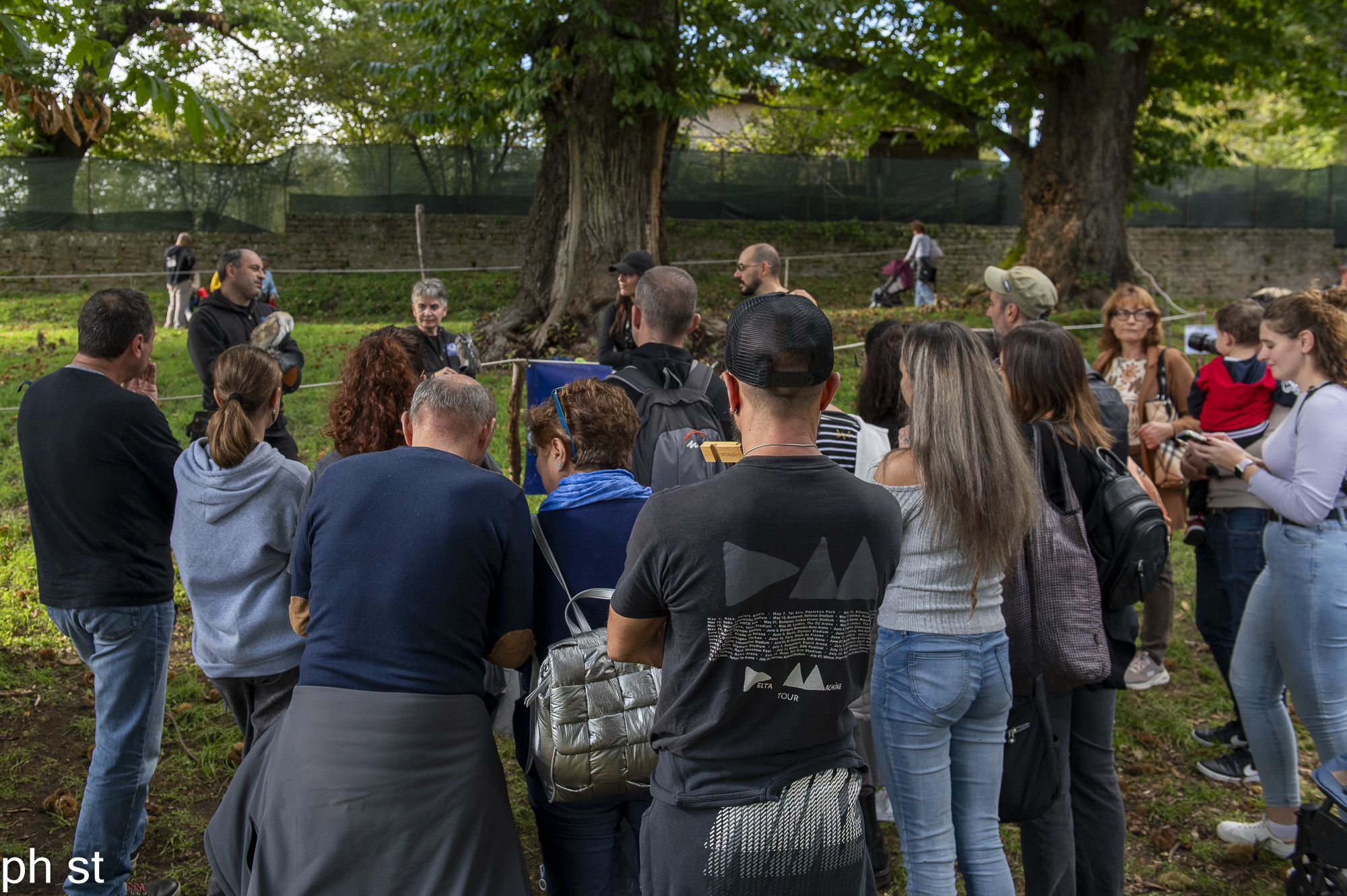 dimostrazioni di volo rapaci